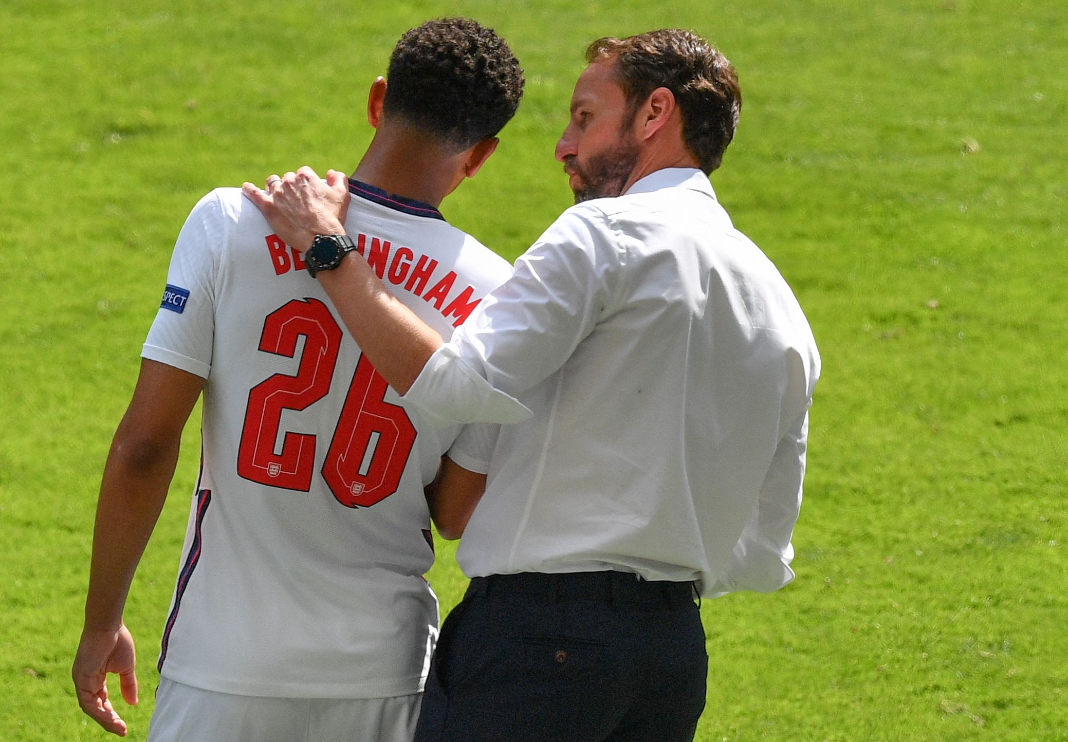 退役后务农，哈姆西克：和妻子养了29只鸡，鸡蛋多得吃不完